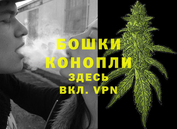бошки Гусиноозёрск