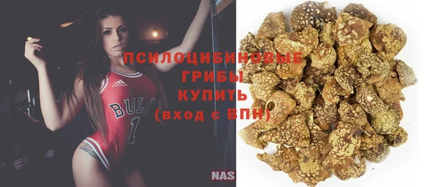 бошки Гусиноозёрск