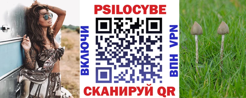 Купить закладки  Макарьев  Галлюциногенные грибы Magic Shrooms 
